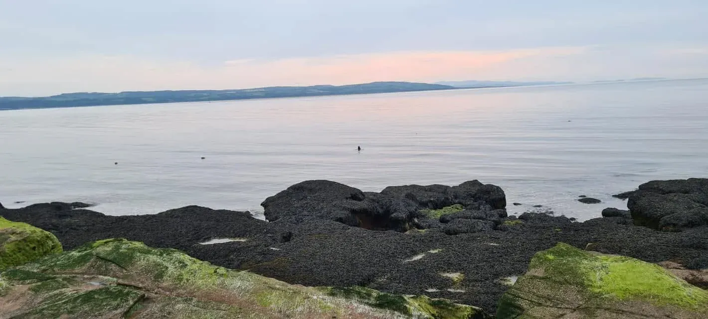 A calm view across rocks and the estuary from a coastal bank