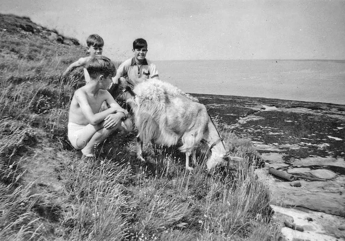 An historic photograph of visitors with a goat on Hilbre