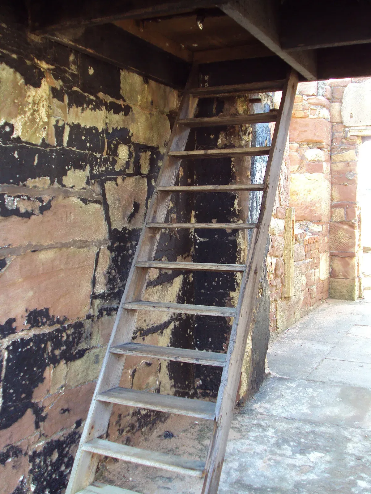 A timber ladder inside the stone former Lifeboat Station on Hilbre Island