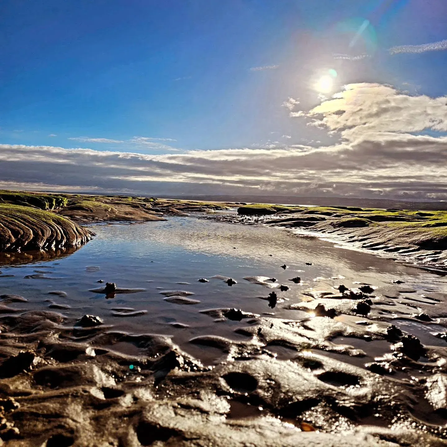Moonlight across the tidal shore and shallow pools