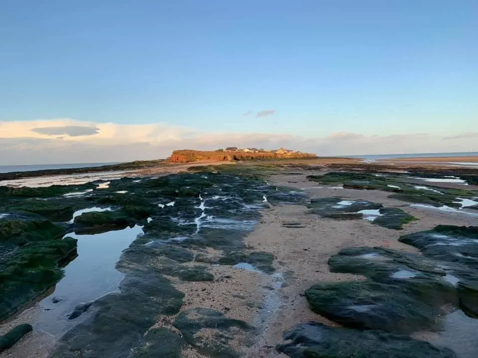 Rock pools and seaweed on the shore at low tide